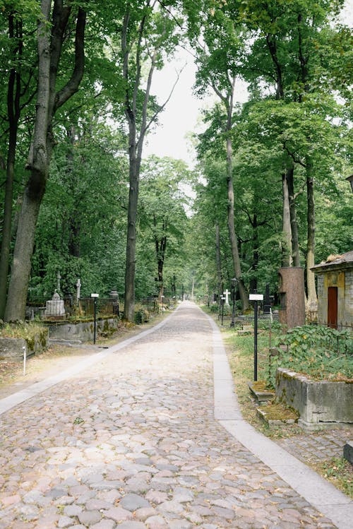 Cemetery in a Green Alley