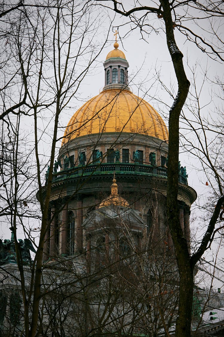 Gray Park With Bare Trees And Gold Cathedral Cupolas