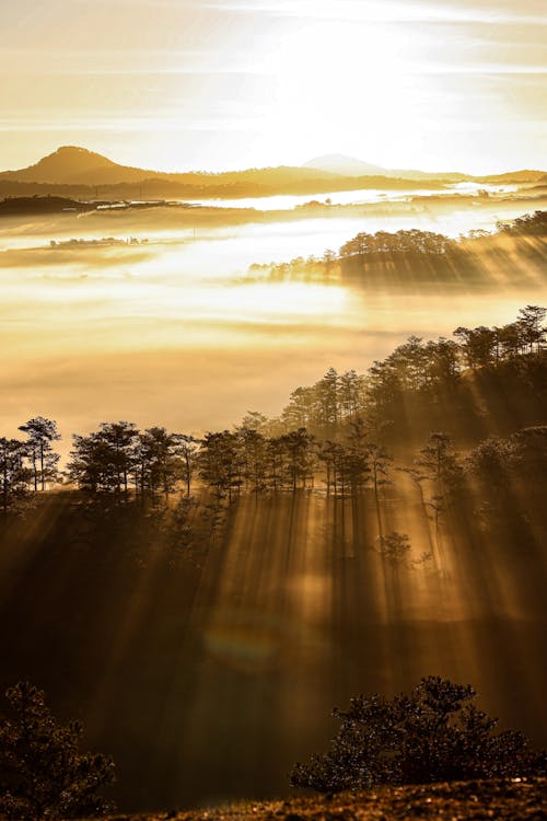 天空雲, 旅客, 旅行 的 免費圖庫相片