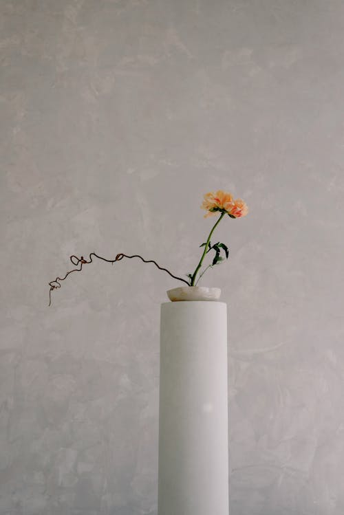 Flower on White Vase 