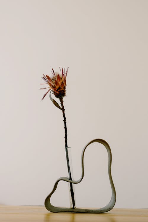 A Flower on a Unique Vase