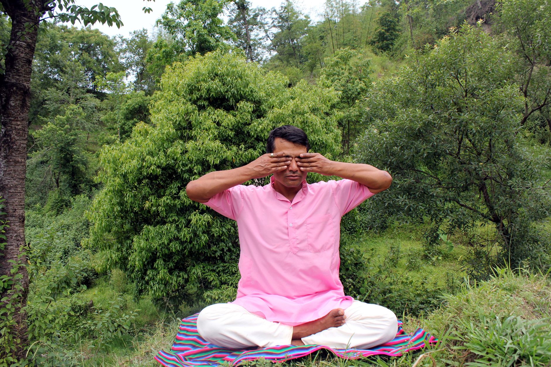वियतनाम बहुपक्षीय तंत्रों में प्रभावी योगदान देना जारी रखे हुए है।