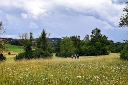 People Walking on Green Grass Field