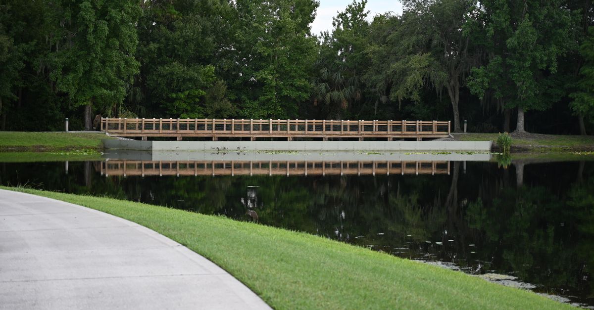 A peaceful wooden footbridge over a reflective lake in a lush park setting in Celebration, Florida.