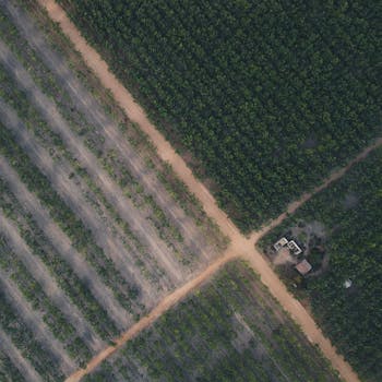 Drone shot of agricultural fields and crossroads in Ho Chi Minh City, Vietnam.