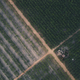 Satellite basemap preview — aerial farmland by Nguyễn Văn Quý Ngọc on Pexels
