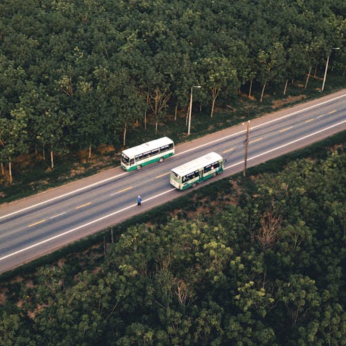 巴士, 森林, 樹木 的 免費圖庫相片