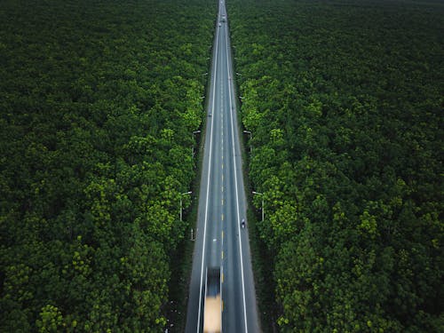 Foto profissional grátis de aerofotografia, árvores, asfalto