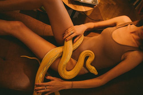 Gratis stockfoto met aan het liegen, albino birmese python, blote benen