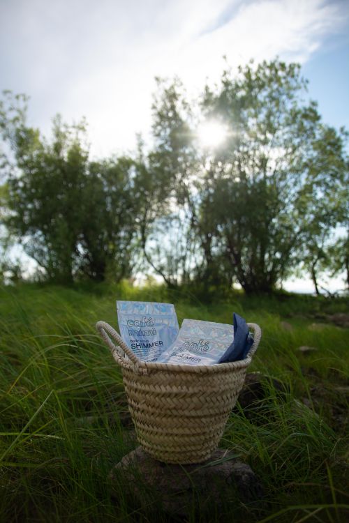 Free Woven basket with products among green grass and trees under sunlight. Stock Photo