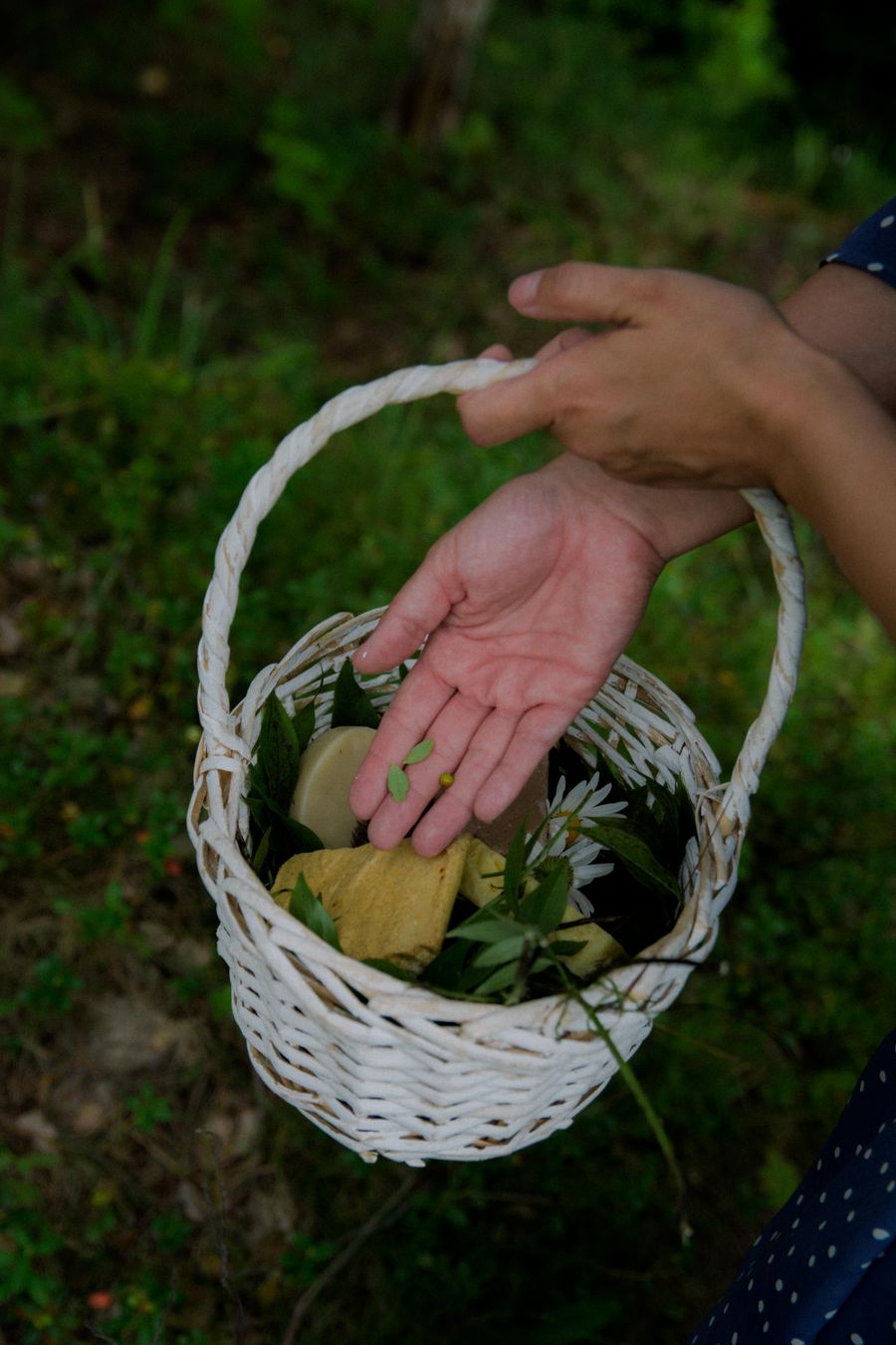 Vegetable preparation