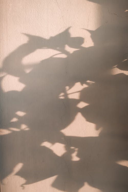 An Abstract Shadow on Wall