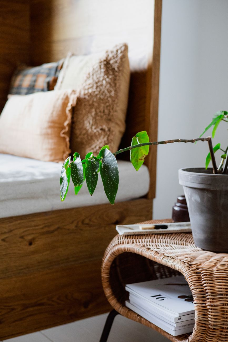 A warm bedroom with wicker, timber and a potted plant beside the bed