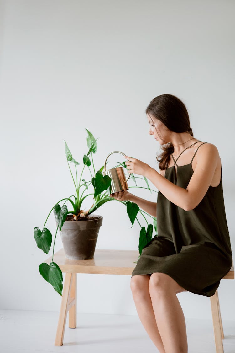 A Woman Watering A Plant