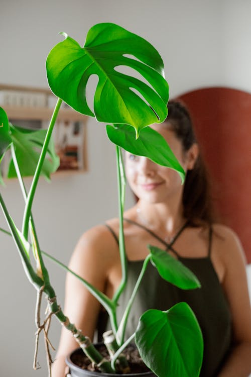 A Woman Holding a Plant with Green Leaves