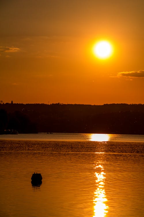 Foto profissional grátis de água, aro solar, brilho do sol