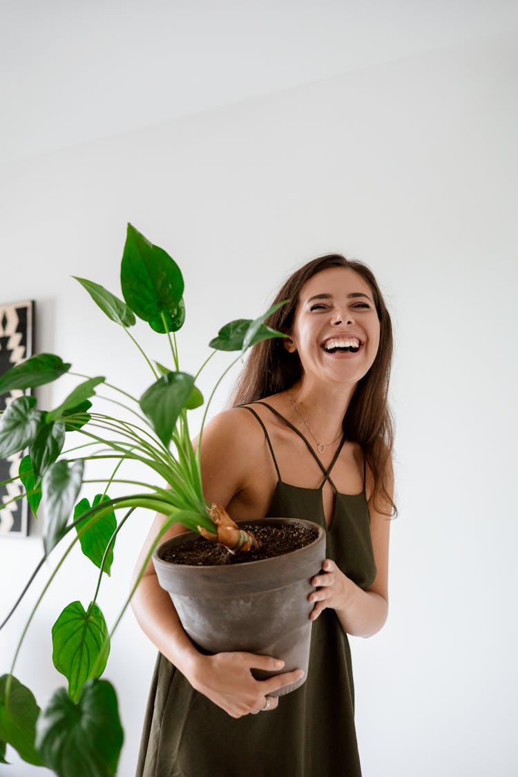 A Woman Holding A Potted Plant