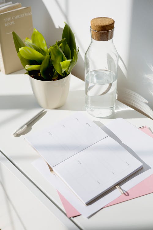 Kostenloses Stock Foto zu glasflasche, grüne pflanze, indoor-anlage