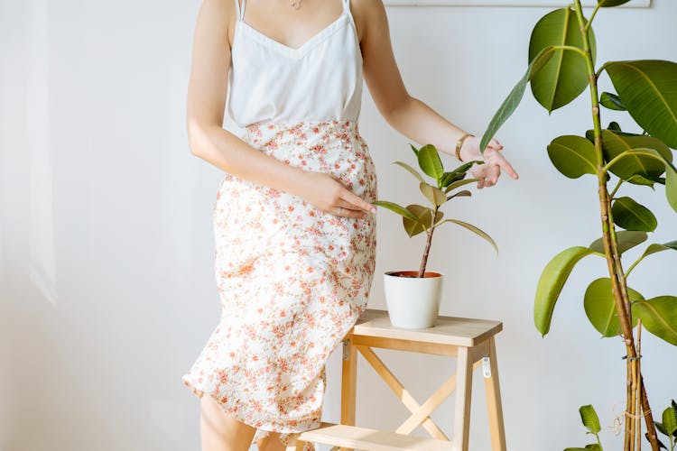 A Woman Touching The Leaves Of A Plant