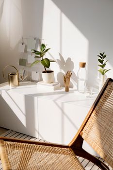 Elegant indoor scene with house plants, wicker chair, and natural light pouring in, creating a serene ambiance.