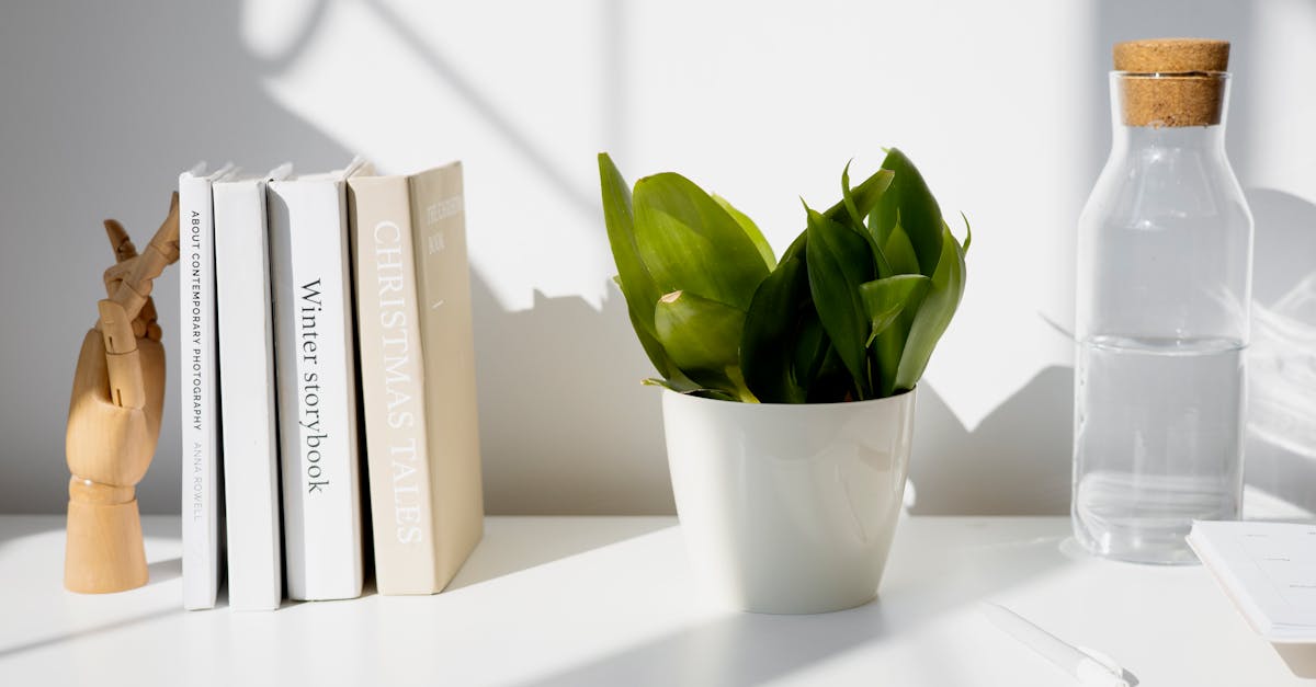Effective Ways to Manage Stress While Working Remotely