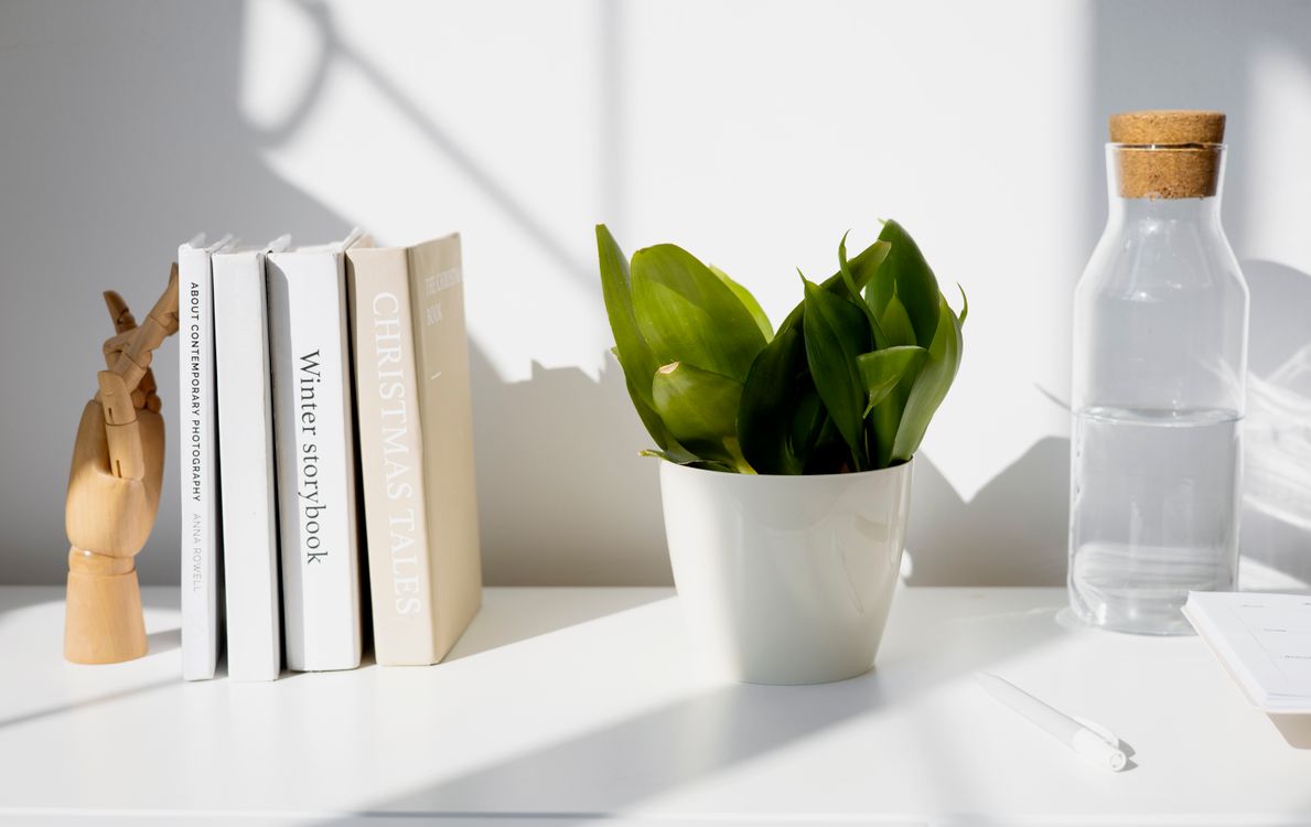 Free A bright minimalist desk with books, an indoor plant, and a glass water bottle under sunlight. Stock Photo