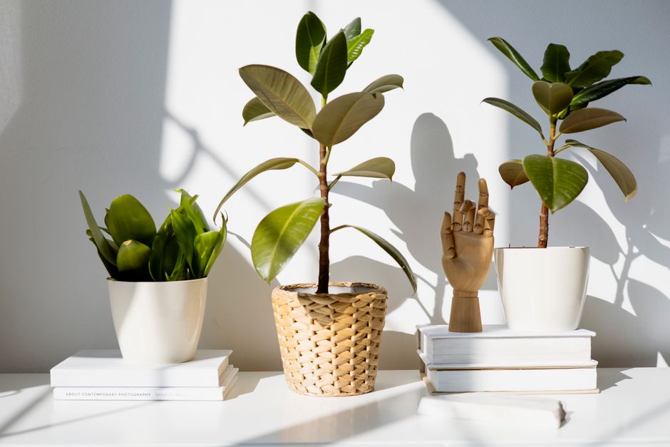 sustainable home decor brands