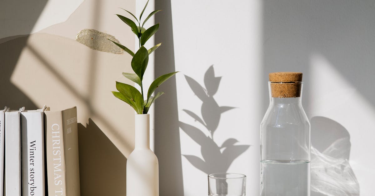 How to propagate succulents in water bottle