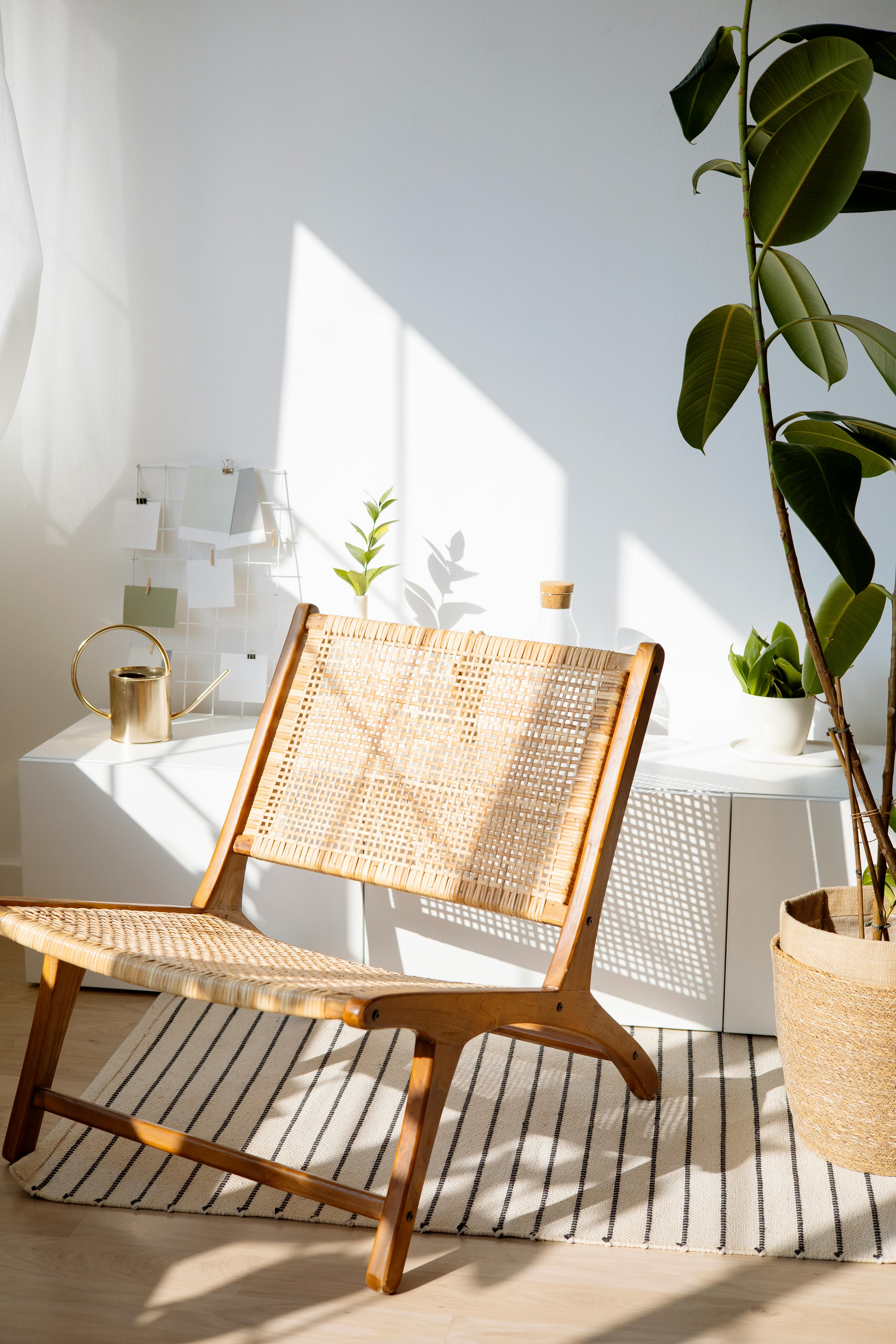 a rattan chair near an indoor plant