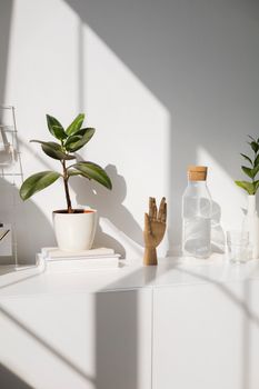 Bright minimalist indoor space featuring plants, books, and decorative items on a white shelf.