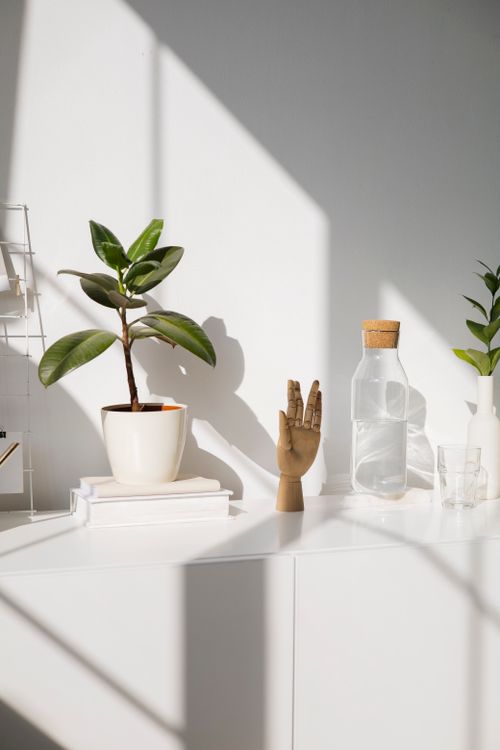 Free Bright minimalist indoor space featuring plants, books, and decorative items on a white shelf. Stock Photo