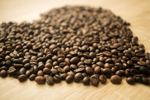 Coffee Beans in a Camera Focus Phoot