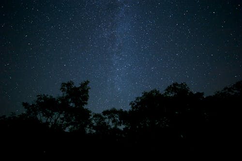 Scenic View Of Night Sky