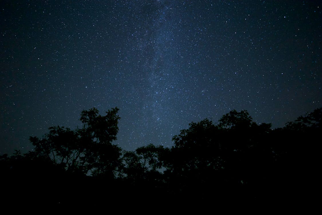 Foto d'estoc gratuïta de arbres, astronomia, bosc