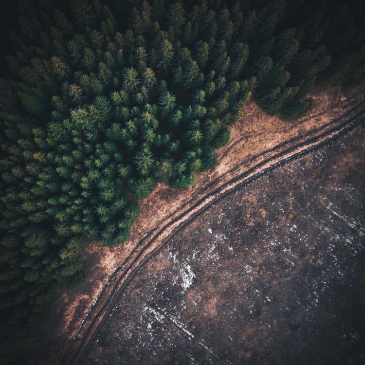 Aerial View of a Land Beside Forest in Perm, Russia
