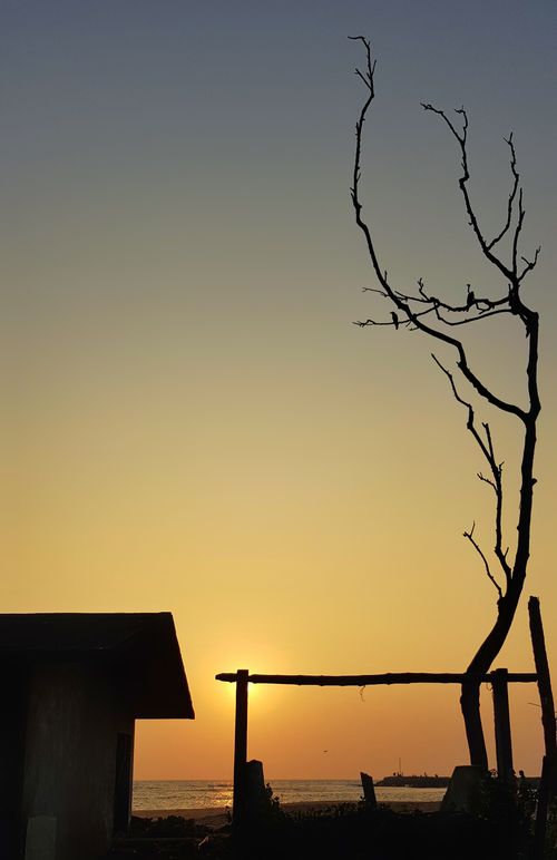 Free A serene silhouette of a tree and building against a vibrant sunset sky over the ocean. Stock Photo