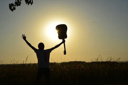 Siluet Manusia Memegang Gitar Di Ladang Tanaman Di Siang Hari