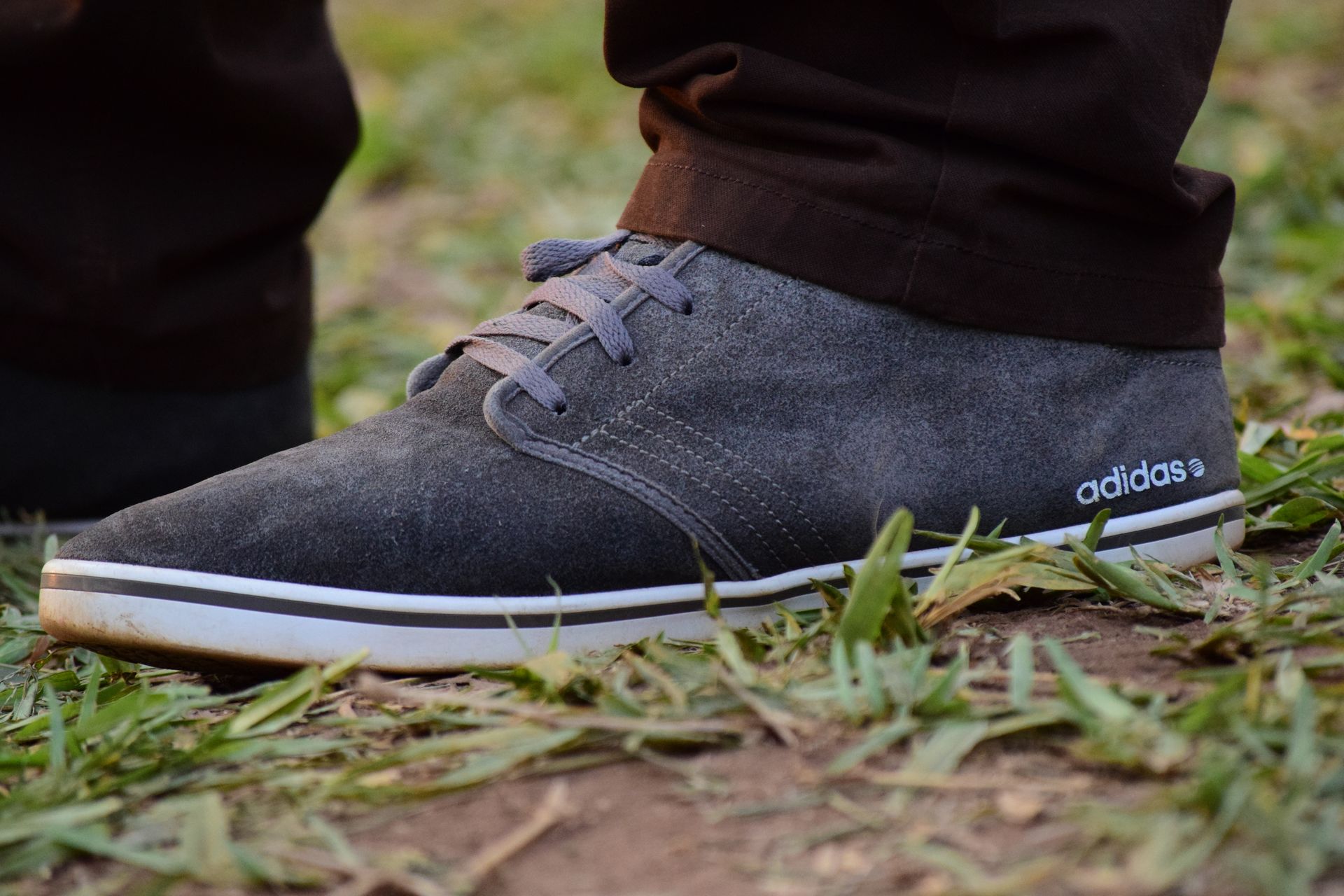 Detailed close-up of a suede Adidas shoe on grass, perfect for fashion and lifestyle themes.