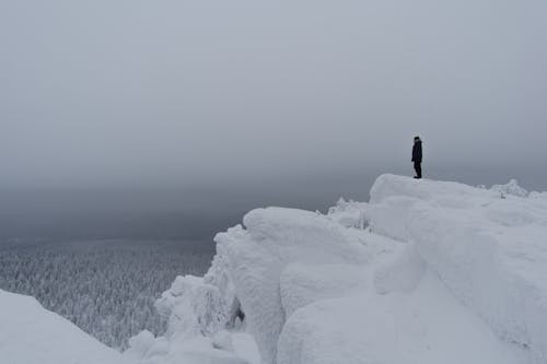 Gratis lagerfoto af forkølelse, klippe, natur