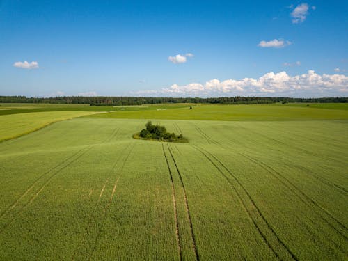 Aerial Photography of Agricultural Field under the Cloudy Blue Sky