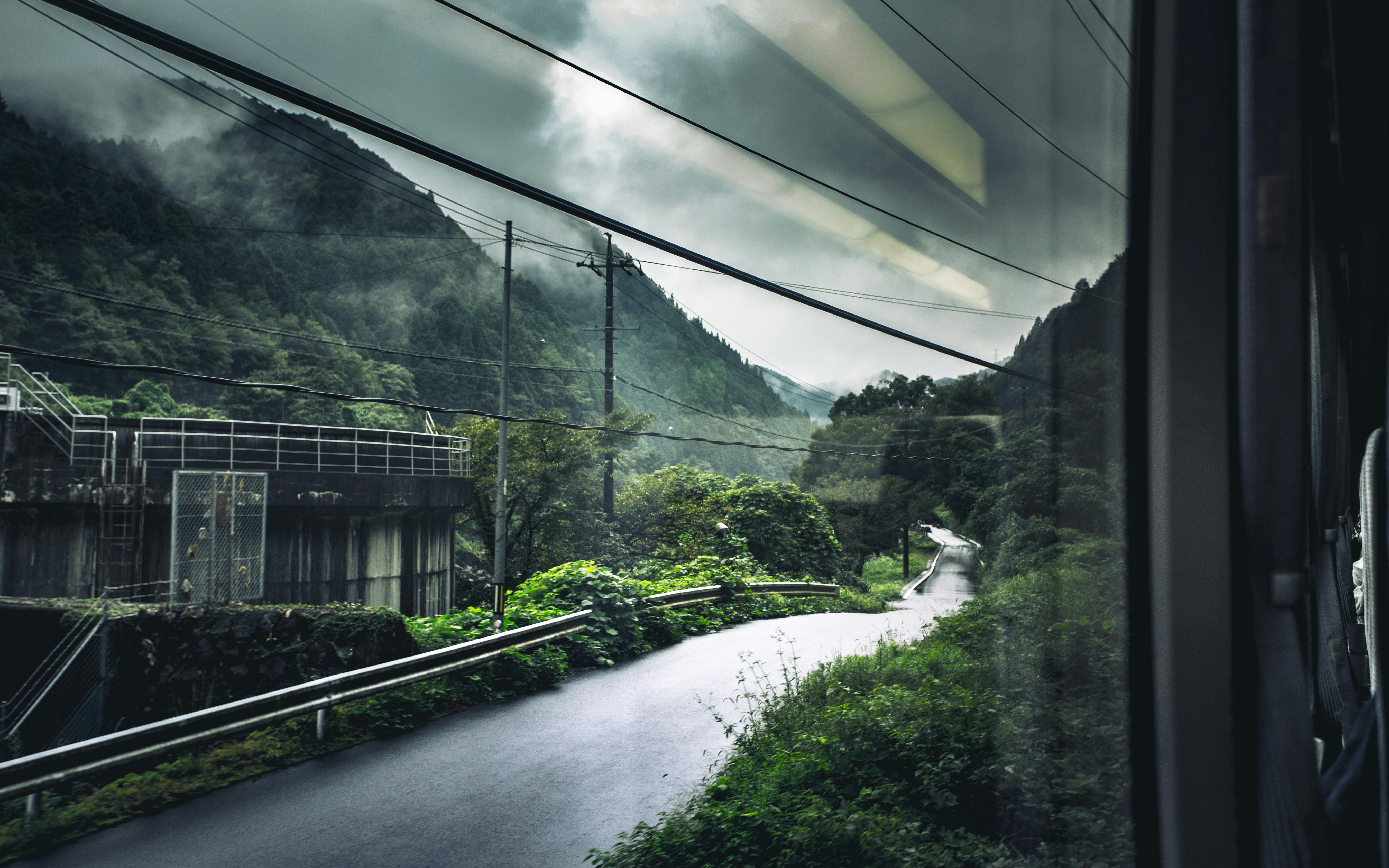 green trees and white bridge