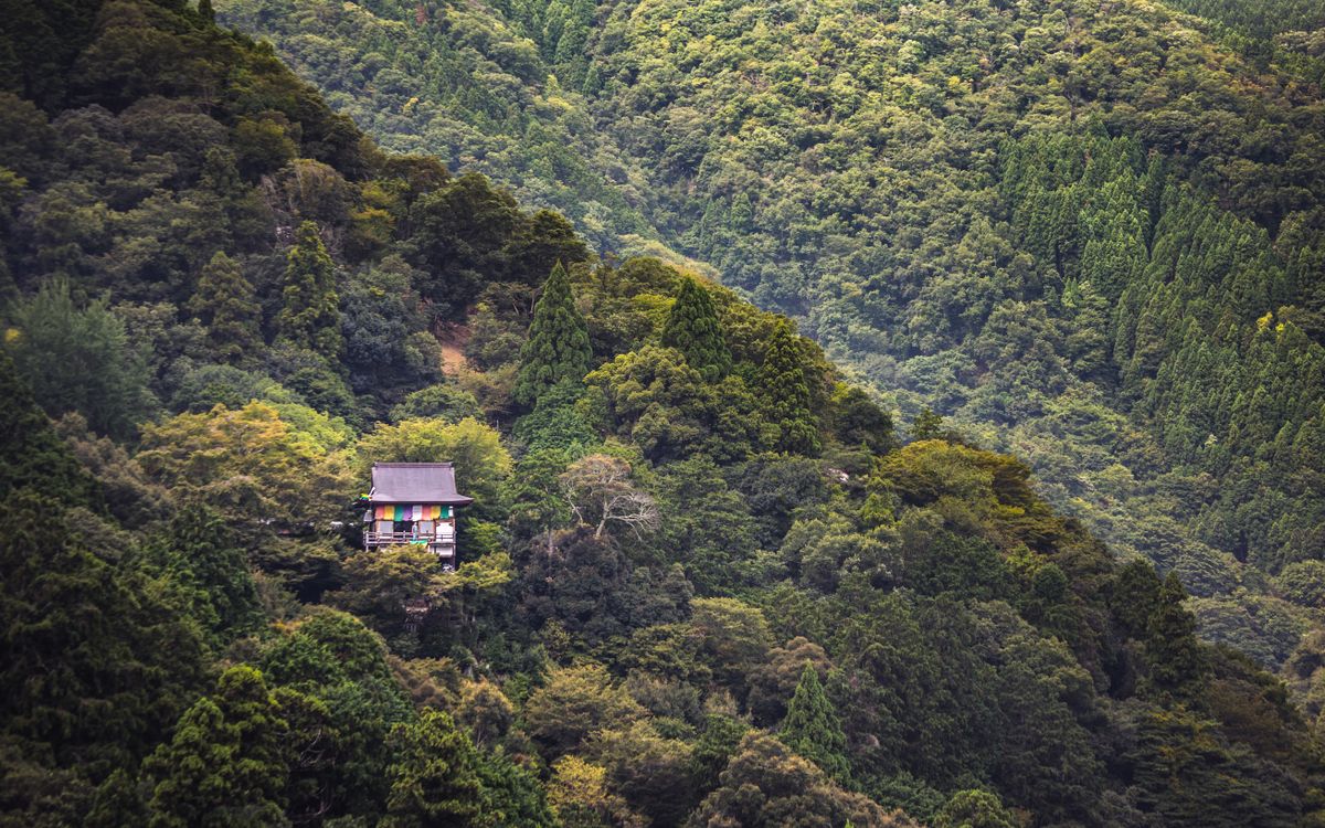 Autumn colors in Japanese national park with colorful maple and pine trees