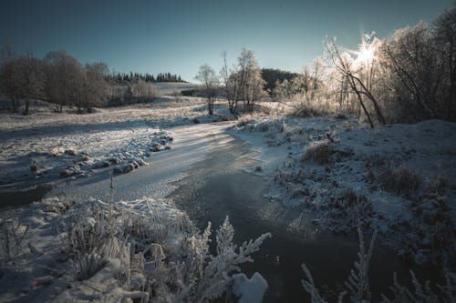 Snow Covered River Near Bare Trees