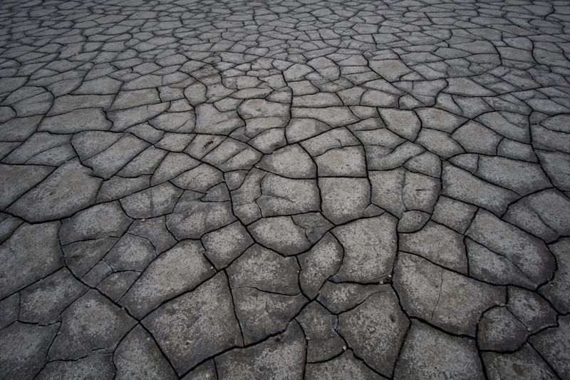 Klimawandel im Rhein-Erft-Kreis: Was sich bereits verändert hat