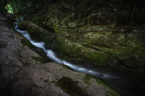 Free A tranquil creek flowing over moss-covered rocks in a lush forest setting. Stock Photo