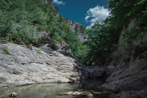 Rock Formations with Trees Beside the River 