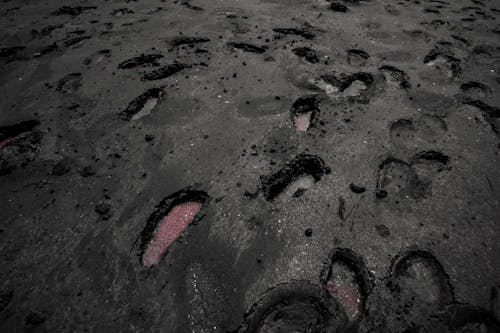 Free Footprints on Black Sand Stock Photo