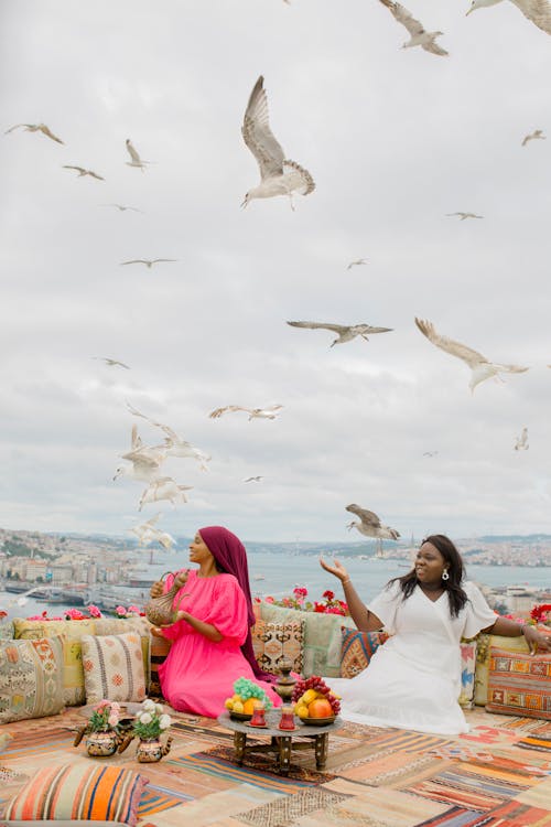 Free Women Sitting in a Rooftop Terrace Cafe with the View of the City and Seagulls Flying Around Them  Stock Photo