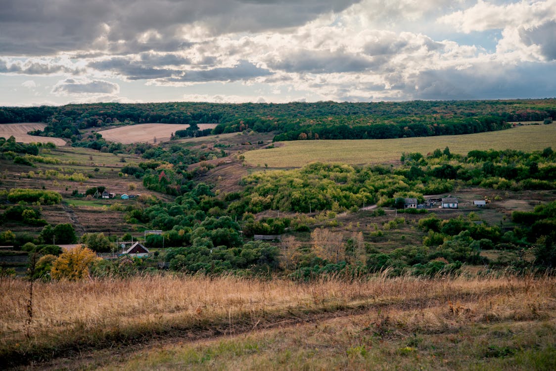 Rolling Landscape in Autumn 