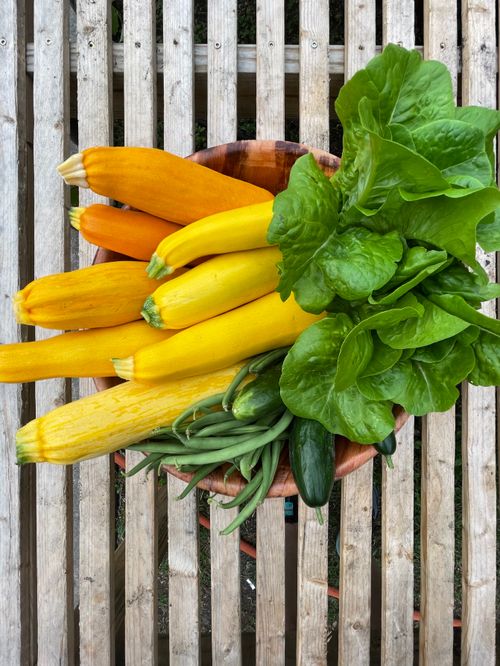Free A vibrant assortment of fresh garden vegetables displayed on a wooden surface, perfect for healthy eating. Stock Photo